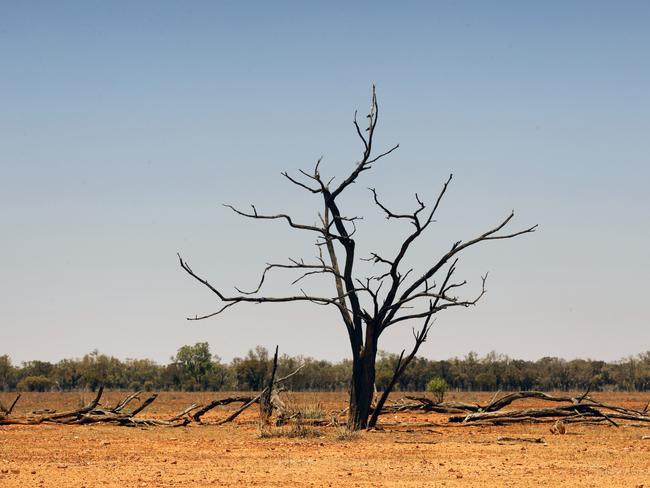 Drought ravaged fields west of Cunnamulla in Queensland. Photo Lachie Millard