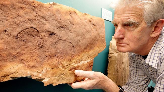 Palaeontologist Dr Jim Gehling with Ediacaran fossils that are on display at the SA Museum.