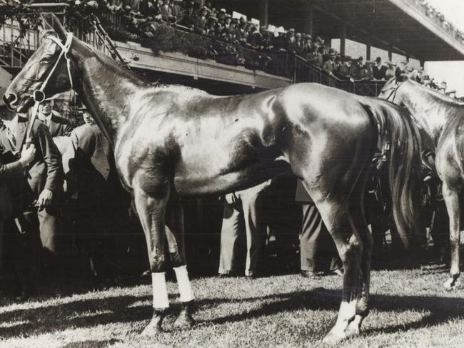 The immortal Phar Lap after his victory in the 1930 Melbourne Cup.