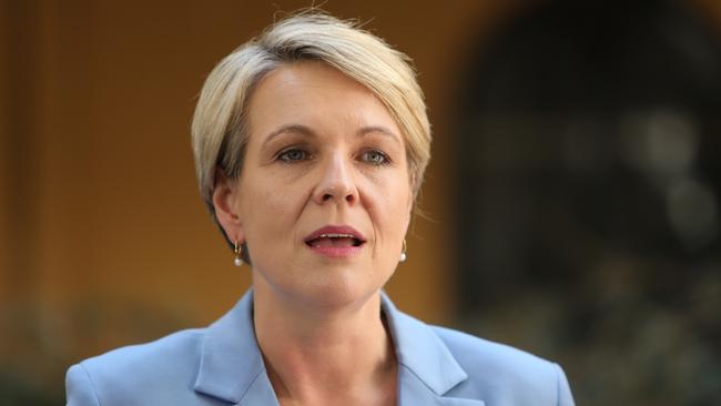 Senior Labor MPs including Tanya Plibersek welcomed the bill in June. Picture: Tim Hunter.