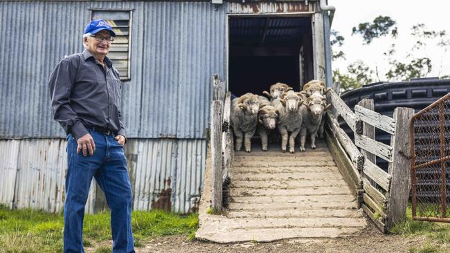 David Rowbottom with his flock and wool shed. Picture: Nicole Cleary