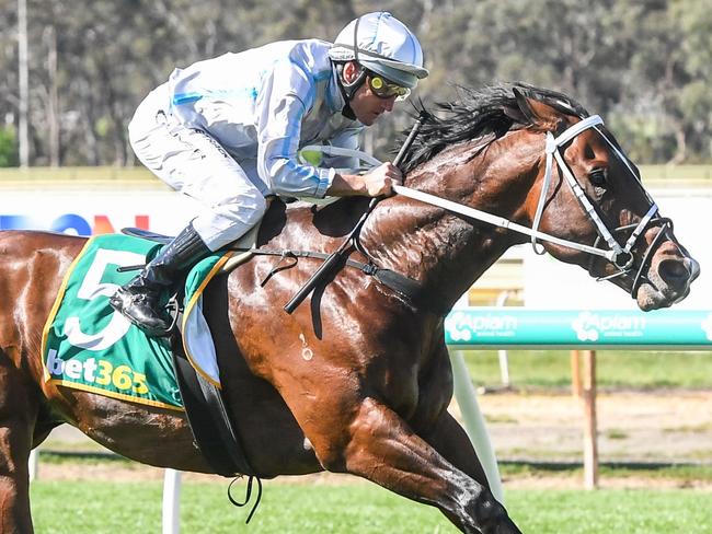 Celui ridden by Damien Oliver wins the Happy 65th Birthday Heather Wyllie BM64 Handicap  at Bendigo Racecourse on September 27, 2023 in Bendigo, Australia. (Photo by Brett Holburt/Racing Photos via Getty Images)