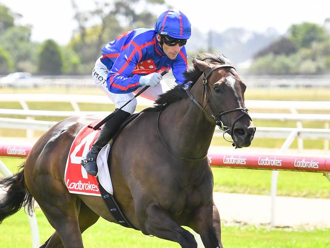 Lunar Module and jockey Jamie Mott will combine again at Thursday's Sale races. Picture: Racing Photos via Getty Images.