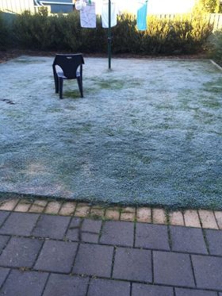 A frozen backyard in Paralowie. Picture: Sandy Hein