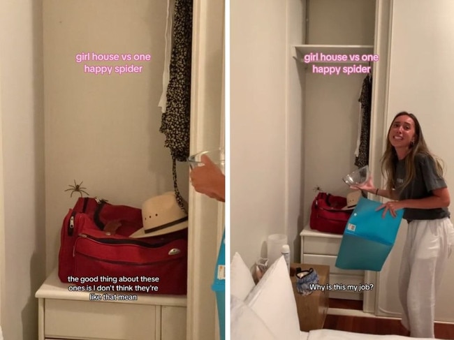 She bravely tried to trap the spider. Picture: TikTok/chloebaradinsky