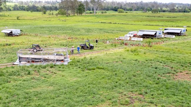 Forage Farms in Kybong have revealed the extent of damage the winds like a mini-cyclone did to their chicken coups and houses on the property. Picture: Forage Farms