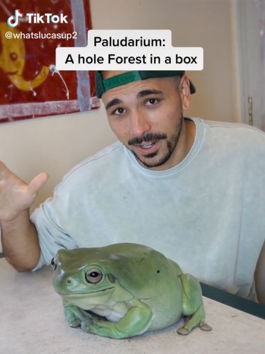 Social media users were baffled after TikTok user Lucas Peterson posted clips of him and his pet frog named Dumpy. Picture: TikTok/whatslucasup2