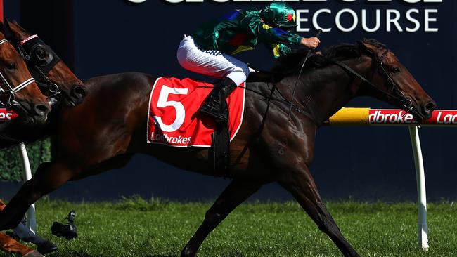 Jockey Ryan Maloney is hopeful Alligator Blood can get the job done in the Caulfield Guineas on Saturday. (Photo by Kelly Defina/Getty Images)