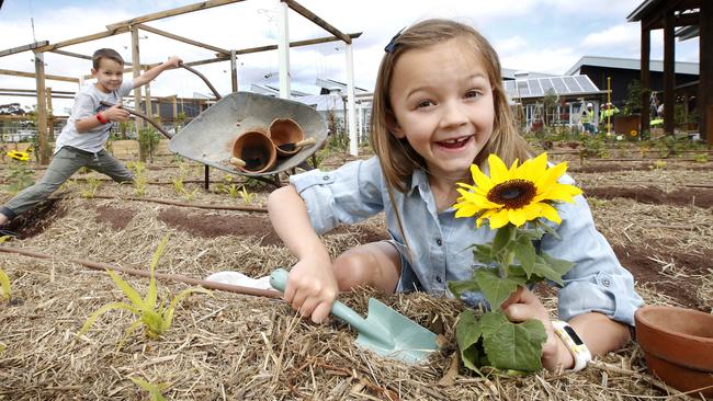 Siblings Ryder 5 and Maddy 7 were quite at home planting sunflowers on the rooftop market garden when they visited the Burwood Brickworks shopping centre.