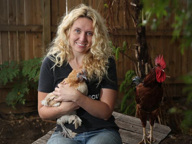 Catherine Kelaher is the founder of NSW Hens Rescue. Picture: AAP