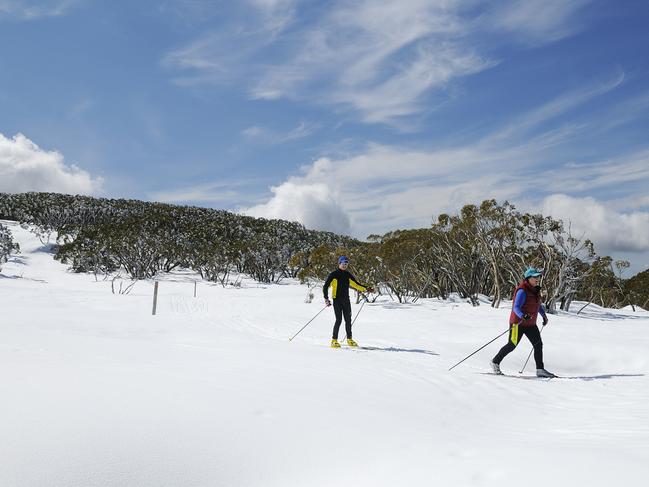 Cross-country skiing at Mt Baw Baw. Picture: Visit Victoria