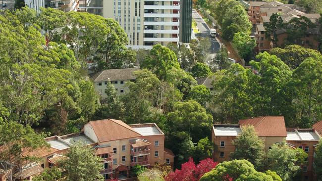 Trees on the future Ivanhoe Estate taken last year.