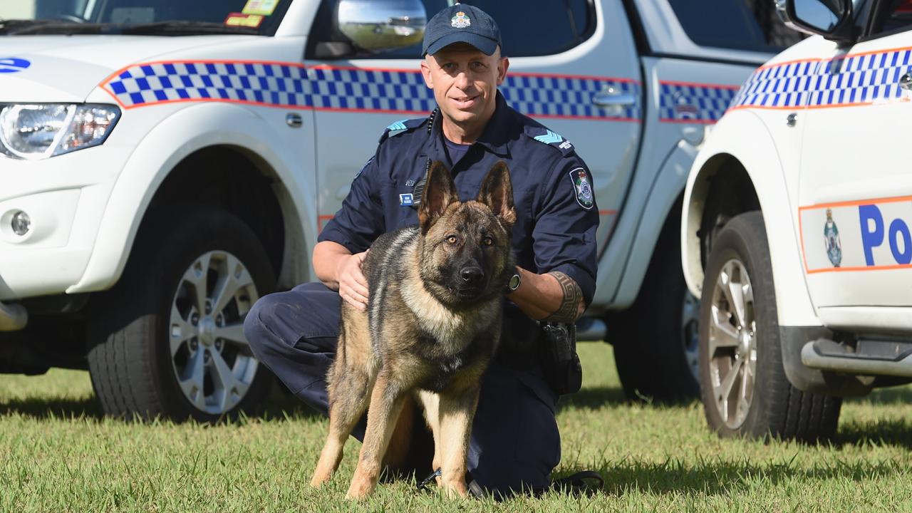 Qld police dog Rambo killed in the line of duty | The Courier Mail