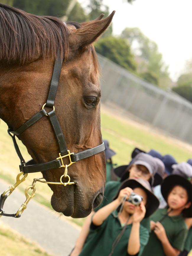 Winner of the 2000 Melbourne Cup, Brew, visited the Mt Waverley North Primary School.