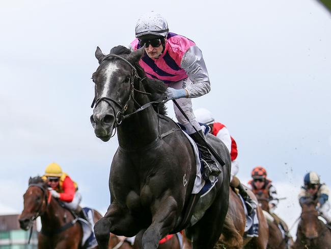 Sghirripa ridden by Craig Newitt wins the Nick Johnstone Real Estate Christmas Stakes at Caulfield Racecourse on December 26, 2023 in Caulfield, Australia. (Photo by George Sal/Racing Photos via Getty Images)