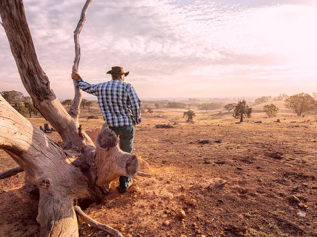 Senior farmer looking over the drought stricken land, during summer and fire season.