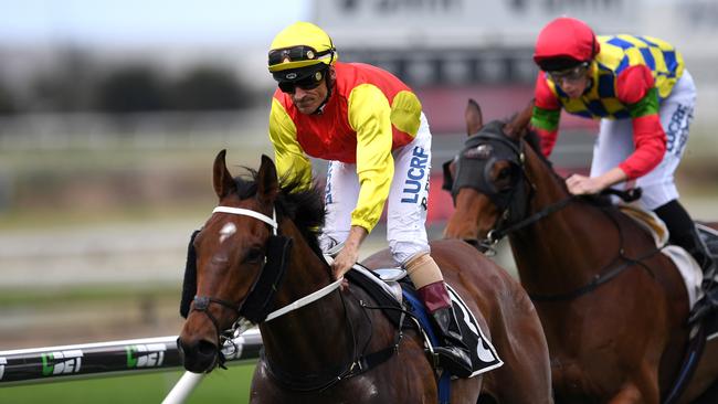 Jockey Robbie Fradd rides Shaolin Kungfu to win his maiden at Doomben racecourse in Brisbane. Photo: Dan Peled/AAP Image.