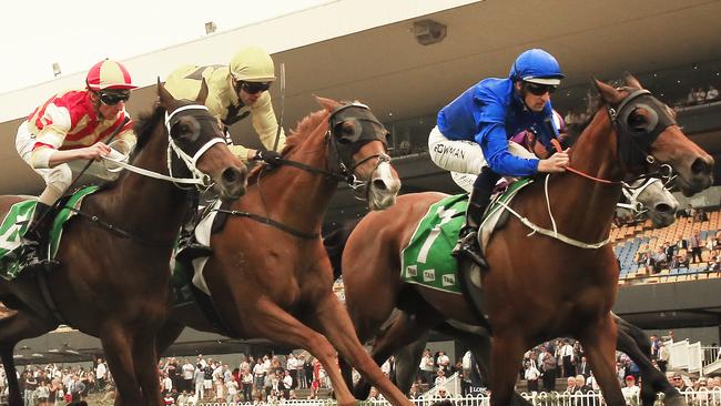 Handspun (right) will give punters a good sight at Randwick. Picture: Getty Images