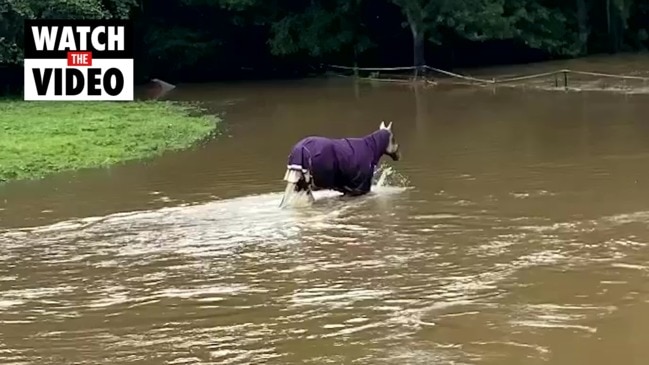 Flooding at Peachester on the Sunshine Coast