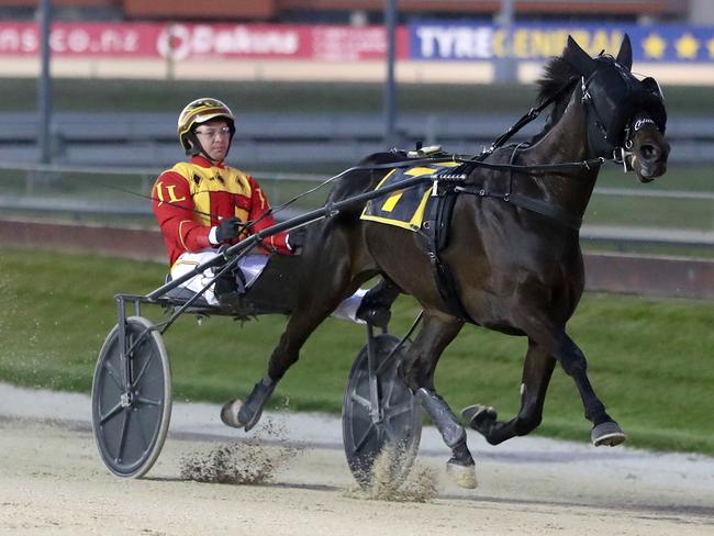 Keayang Zahara cruises to victory in Friday night's NZ Trotting Oaks. Picture: HRNZ