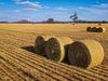 Boom in farm land prices to slow this year