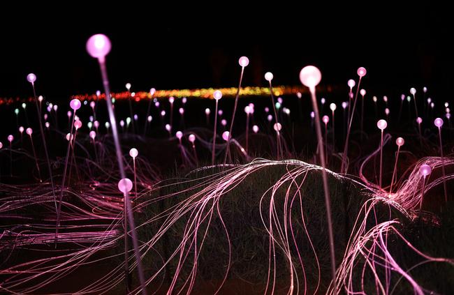 Field of Light at Uluru in 2016 by Bruce Munro. Picture: Mark Pickthall