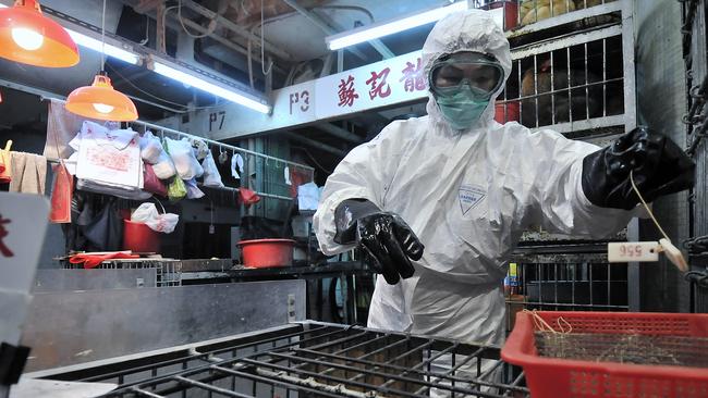 Chickens are culled in Hong Kong’s Sham Shui Po market after the deadly H5N1 avian bird flu virus was found in 2008. Picture: AFP