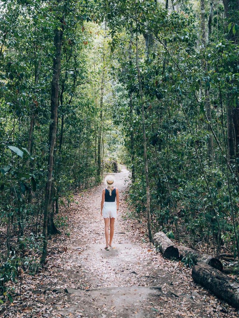 Noosa tourism operators will be looking for the local green appeal to help attract visitors back.