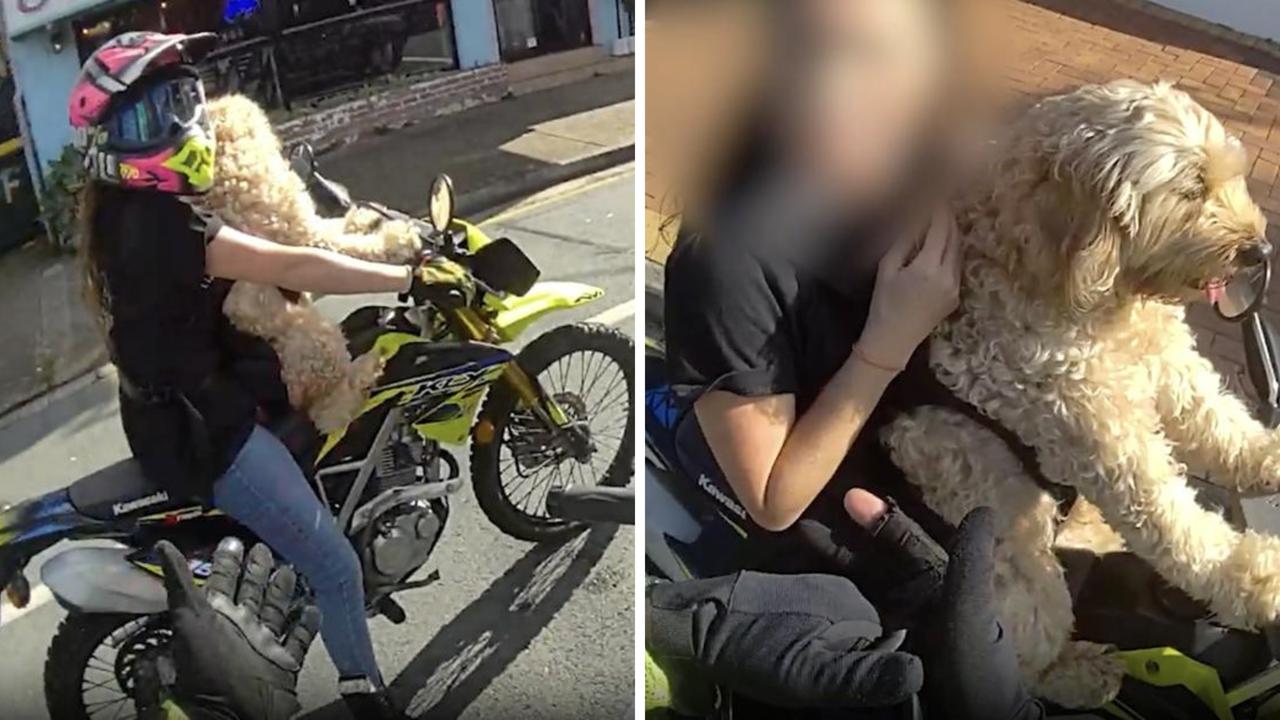 ‘First time I’ve seen it’: Cop gobsmacked