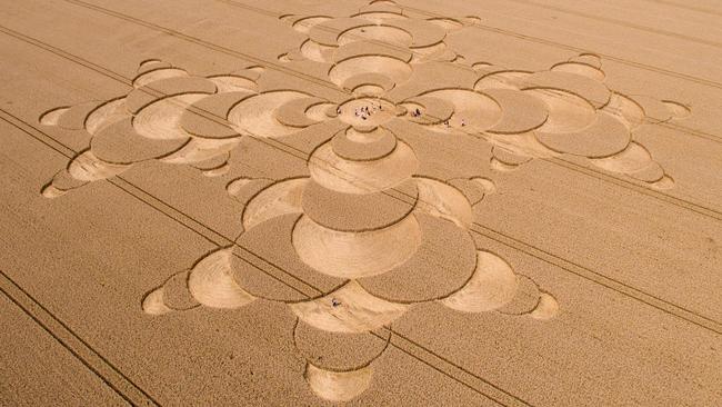 Crop circle expert Dr Horace Drew in Sydney | Daily Telegraph