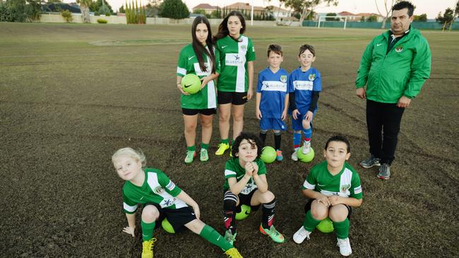 Greenvale cricket pitch torn up by reckless drivers | Herald Sun