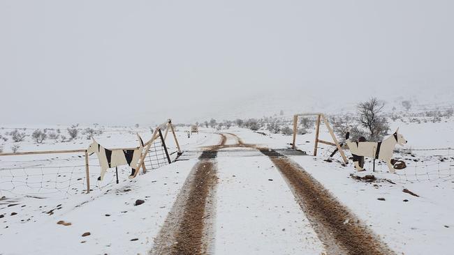 Snowfall at Skytrek Willow Springs Station in the Flinders Ranges on August 7. Picture: Skytrek Willow Springs Station