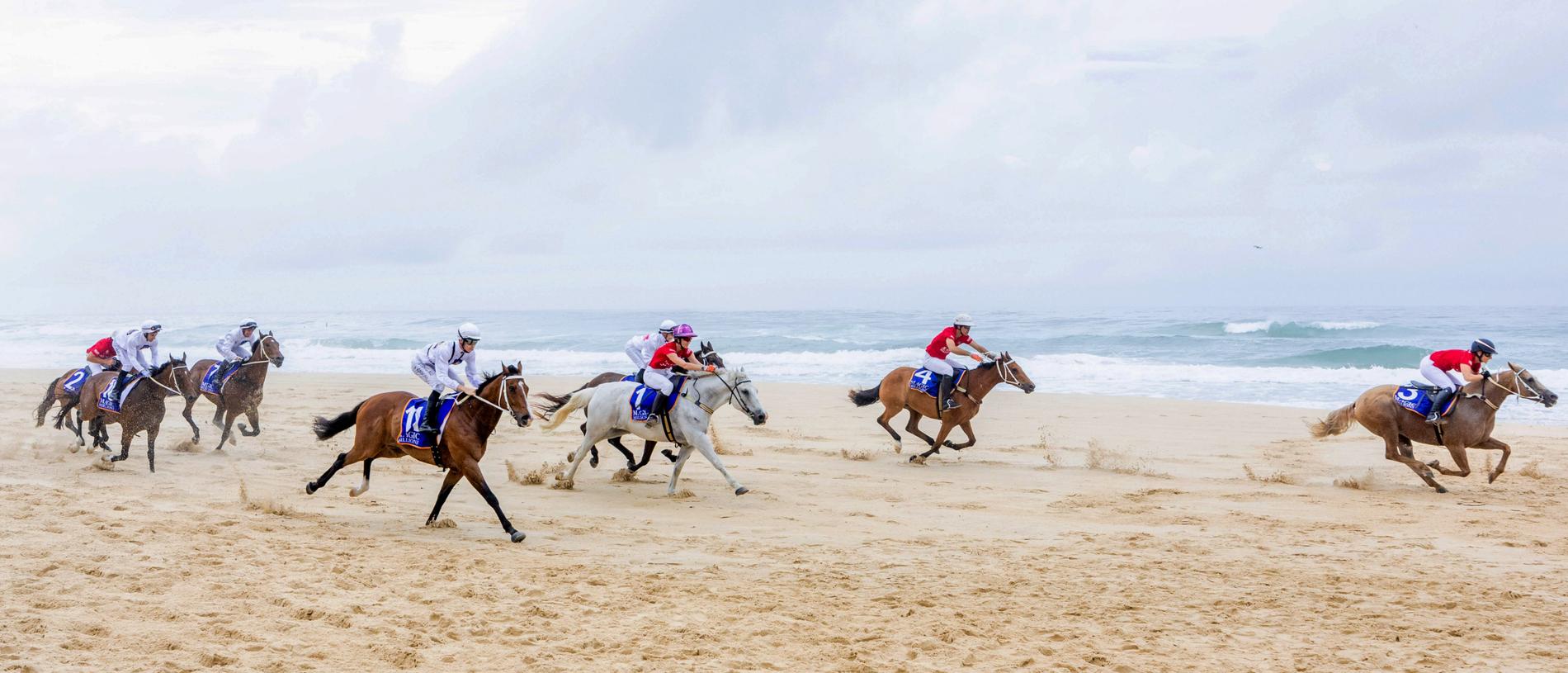 Horses gallop along the shoreline in the Magic Millions beach run event. Picture: Luke Marsden.