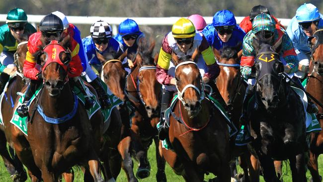Racing in New South Wales on Thursday is at Gosford and Armidale.