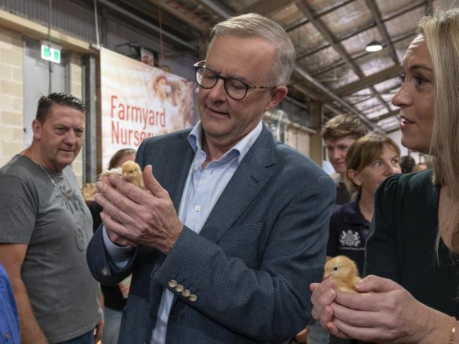 SYDNEY, AUSTRALIA - NewsWire, April 10, 2022. The Leader of the Australian Labor Party,  Anthony Albanese at the Sydney Royal Easter Show with partner Jodie Haydon and farmer James Kemp (left). Picture: Monde Photography on behalf of RAS of NSW