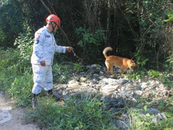 Mexican newspaper Por Esto! has published photos of a search with cadaver dogs in the southern part of Cancun for missing Airlie Beach woman Tahnee Shanks and her estranged partner Jorge Luis Aguirre Astudillo. Picture: Por Esto!