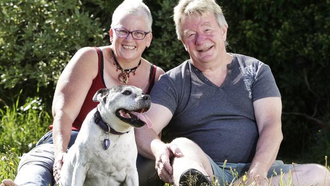 Frankston staffy Lexi with Deidre Pearce and John Eagle