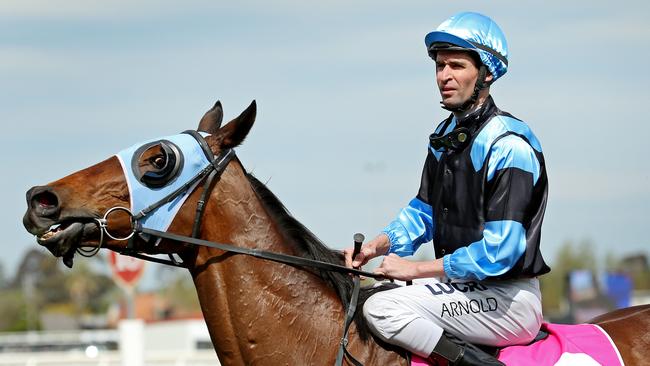 Steven Arnold returns to scale aboard The Cleaner on Saturday. Picture: Colleen Petch.