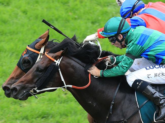 Inference (green colors, hugging outside rail.  ridden by Tony Berry wins race 7 during Royal Randwick races in Sydney.  Pic Jenny Evans
