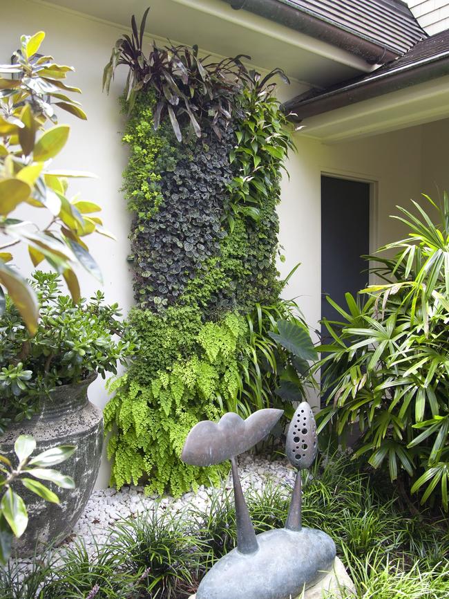 A greenwall can be installed inside or outside.