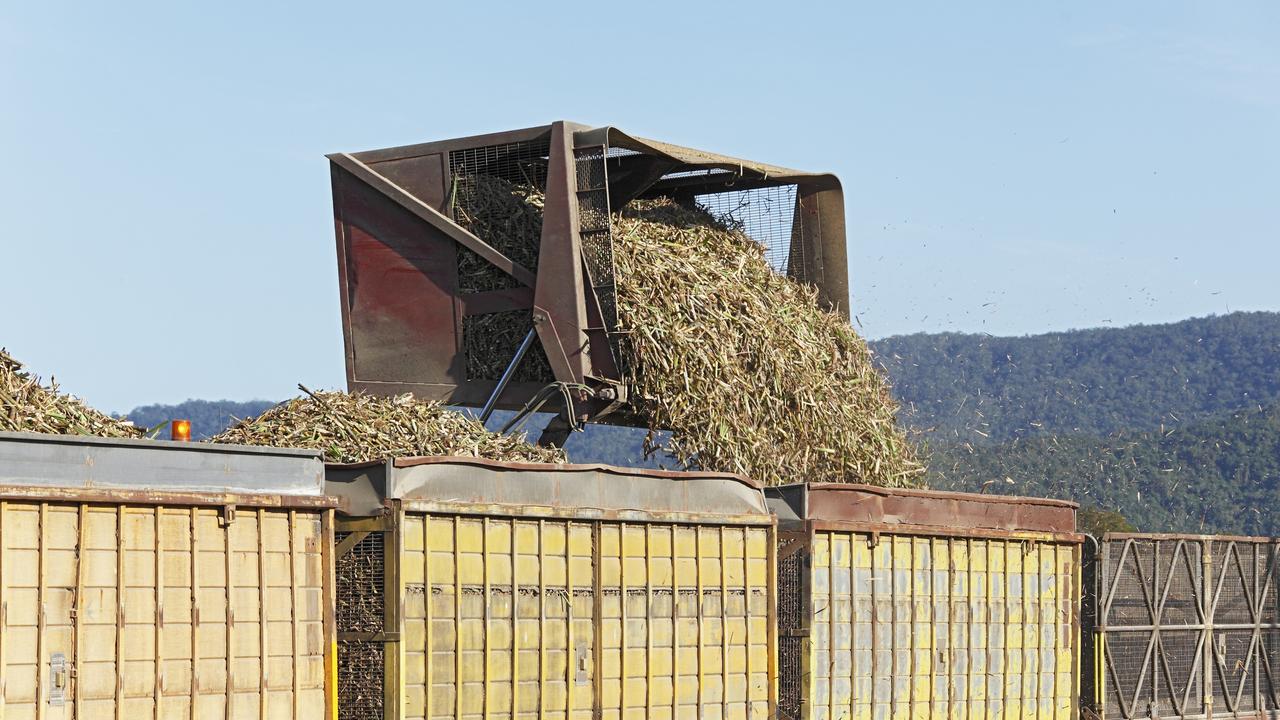 Growers have been subsidising the mill, paying a sustainability levy, and now fear their 2024 crop will not be crushed.