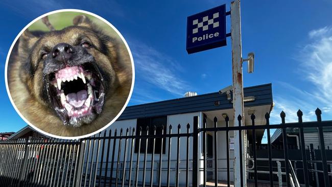 Police were called to assist after a woman in a wheelchair was viciously attacked by two dogs on Palm Island on July 31.