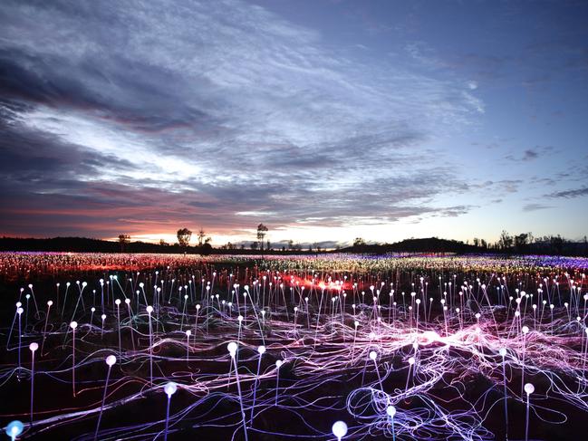 The spectacular Field of Light at Uluru.