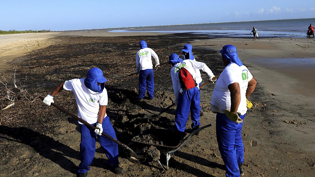 Environmental experts fear that the oil has come into contact with many more marine animals and that it will damage coral and marine life. Picture: Andre Moreira/Aracaju Municipal Press Office via AP.