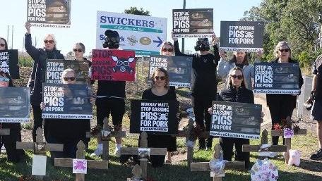 Animal activists, including the Farm Transparency Project and Live Gently, launched a nationwide campaign calling for a ban on pig gassing outside Kingaroy Swickers on Thursday, June 15, 2023.