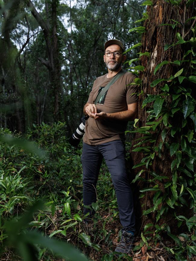 Brad Lambert from Toohey Forest Wildlife in known koala bush habitat near QSAC. Picture Lachie Millard