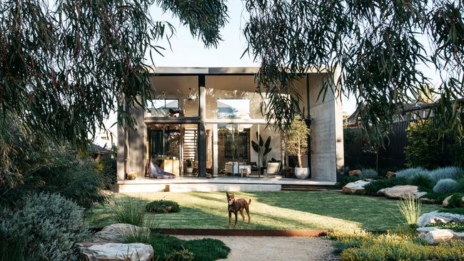 The Woolooware garden designed by Grant Boyle from Fig Landscapes featuring Ian the kelpie. Picture: Jessica Ann Harris