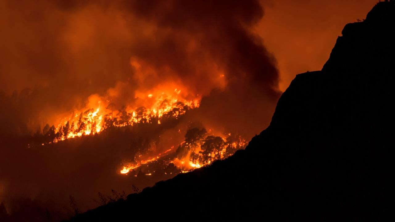 About 400 firefighters are battling the wildfire. Picture: Desiree Martin / AFP