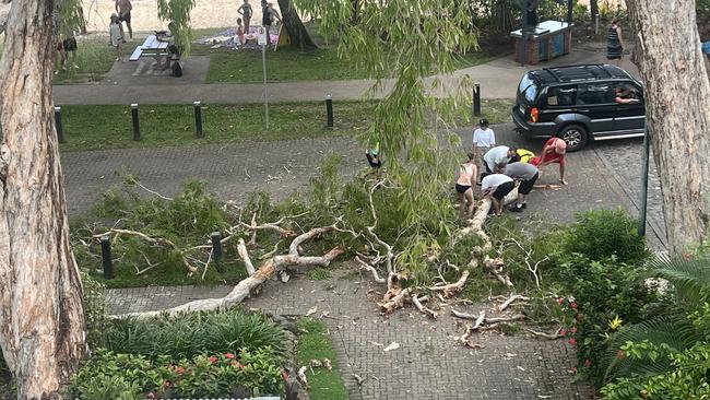 Concerned residents clean up fallen tree branches after they fell in Palm Cove. Picture: Supplied.