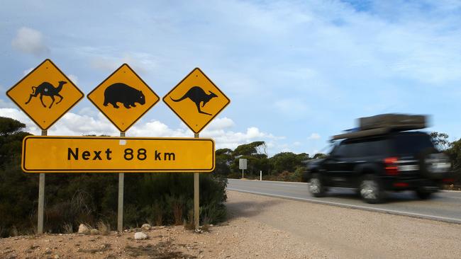 Fire burning on the Nullarbor in South Australia’s Far West poses a ...